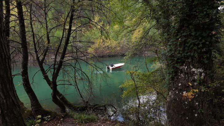 Sığla Ormanı